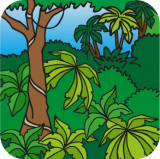 cartoon Forest - jungle